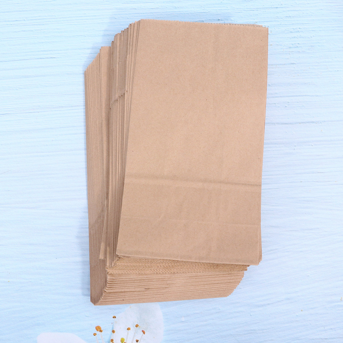 100Pcs Takeaway Packing Bag Kr - Cookies Pack review and price
