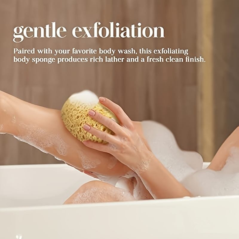 Unisex Seaweed Sponge Bath Bub - Seaweed Snack review and price