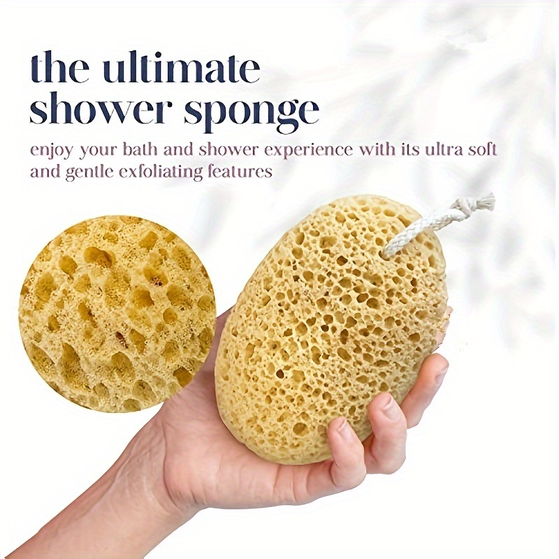 Unisex Seaweed Sponge Bath Bub - Seaweed Snack review and price