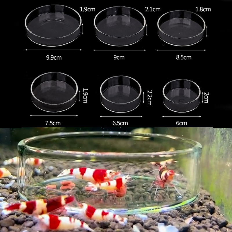 Shrimp Feeding Dish High Trans - Seaweed Snack review and price