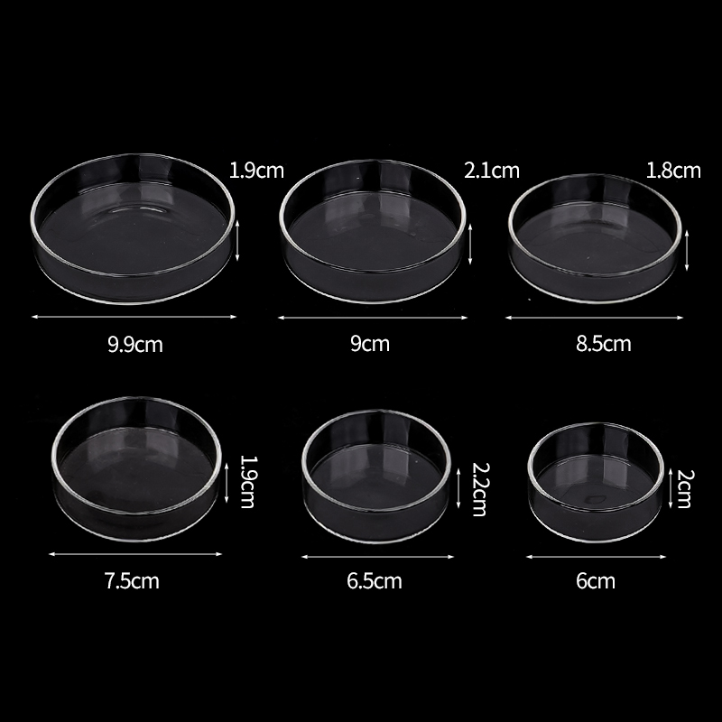 Shrimp Feeding Dish High Trans - Seaweed Snack review and price