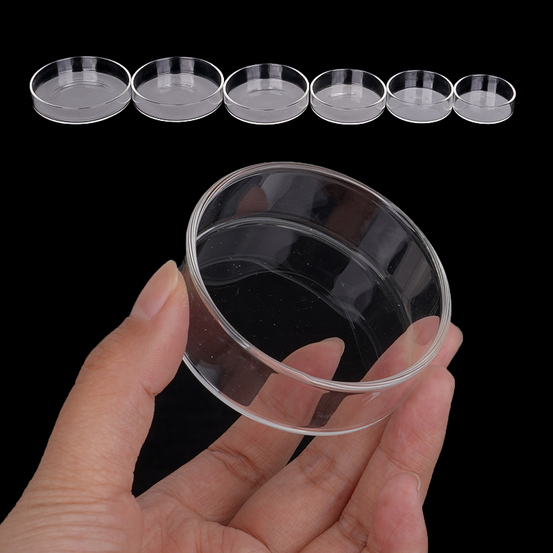 Shrimp Feeding Dish High Trans - Seaweed Snack review and price