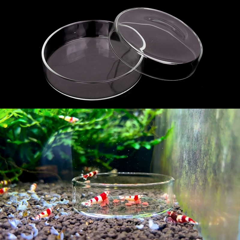 Shrimp Feeding Dish High Trans - Seaweed Snack review and price